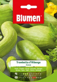 Zucca Trombetta D'Albenga
