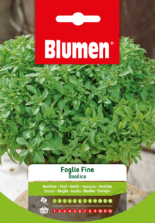 Basilico A Foglia Fine