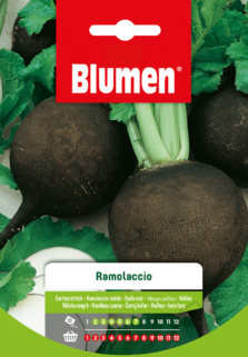 Ramolaccio