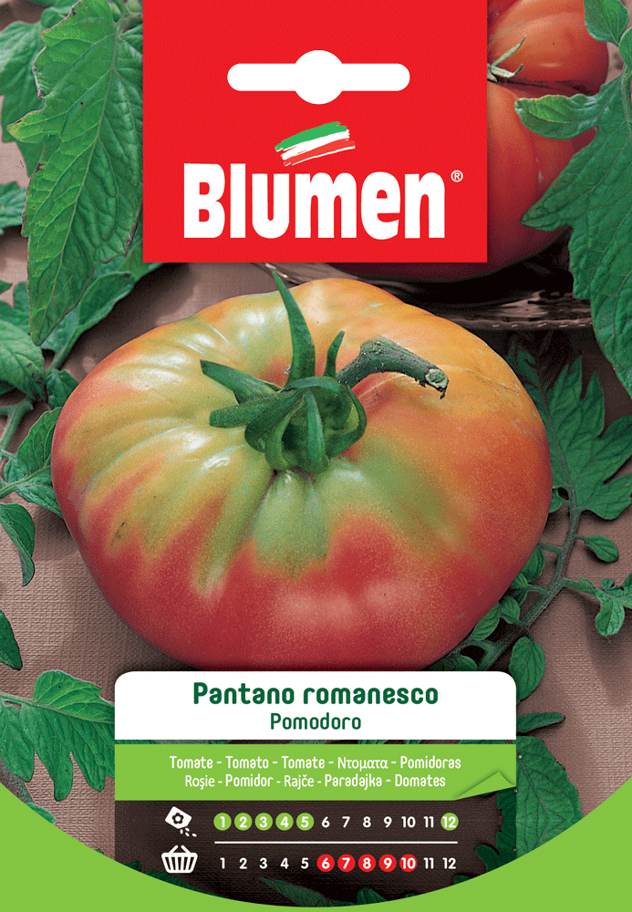 500 Semi Di Pomodoro Pantano Romanesco – Sementi Ortaggi Da Coltivare, Hortus