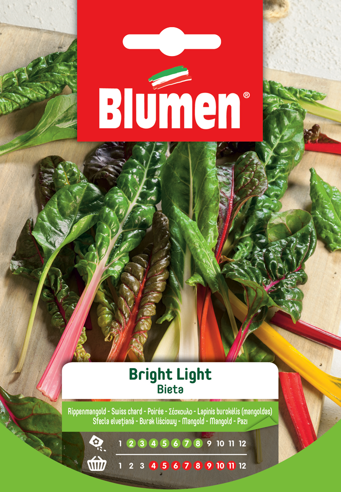 Bieta Bright Light - Blumen