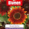 Girasole Red Sun