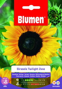 Girasole Twilight Zone