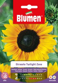 Girasole Twilight Zone