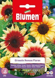 Girasole Annuus Floren