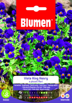 Viola King Henry A Piccoli Fiori