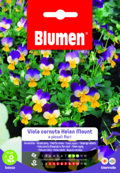 Viola Cornuta Helen Mount A Piccoli Fiori