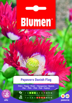 Papavero Danish Flag