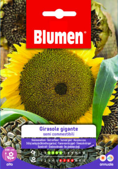 Girasole Gigante Semi Commestibili