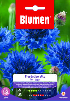 Centaurea/Fiordaliso Alto Fiori Doppi