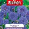 Centaurea/Fiordaliso Alto Fiori Doppi
