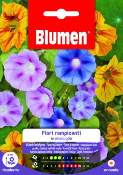Fiori Rampicanti In Miscuglio