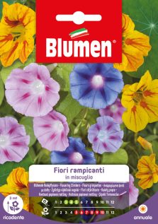 Fiori Rampicanti In Miscuglio