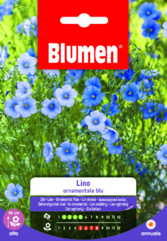 Lino Ornamentale Blu
