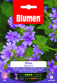 Malva Sylvestris