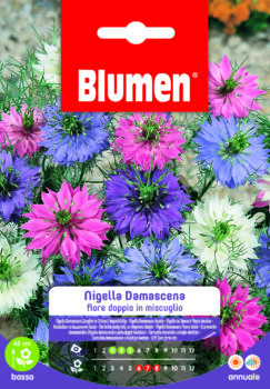 Nigella Damascena Fiore Doppio In Miscuglio