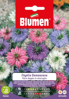 Nigella Damascena Fiore Doppio In Miscuglio