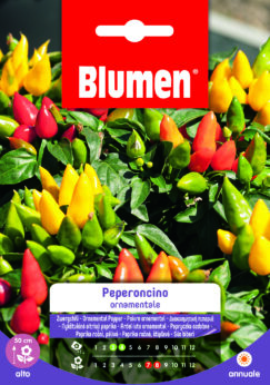 Peperoncino Ornamentale