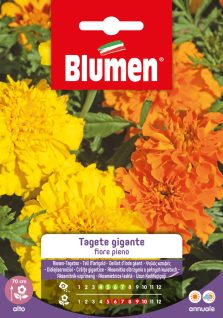 Tagete Gigante Fiore Pieno