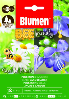 Polemonium Azzurro