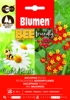Asclepias Rossa