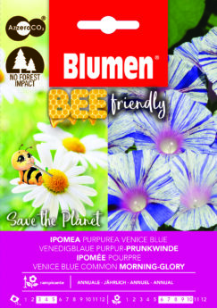 Ipomea Purpurea Blue