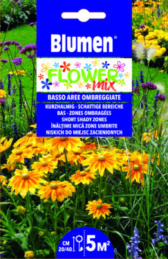 Mix Di Fiori Bassi Per Aree Ombreggiate