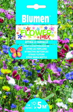 Mix Di Fiori Che Attirano Le Farfalle