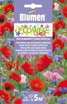 Mix Di Fiori Per Scarpate E Zone Difficili