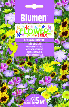 Mix Di Fiori Che Attirano Gli Uccelli