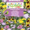 Mix Di Fiori Che Attirano Gli Uccelli