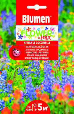 Mix Di Fiori Che Attirano Le Coccinelle
