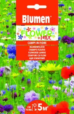 Mix Di Fiori Campi In Fiore