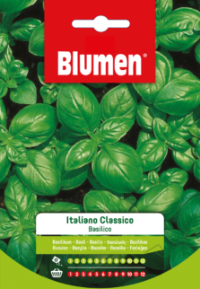 Basilico Italiano Classico