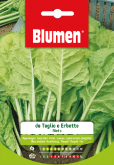 Bieta Da Taglio O Erbetta