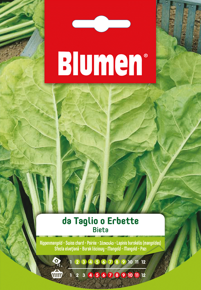 Bieta Da Taglio O Erbetta