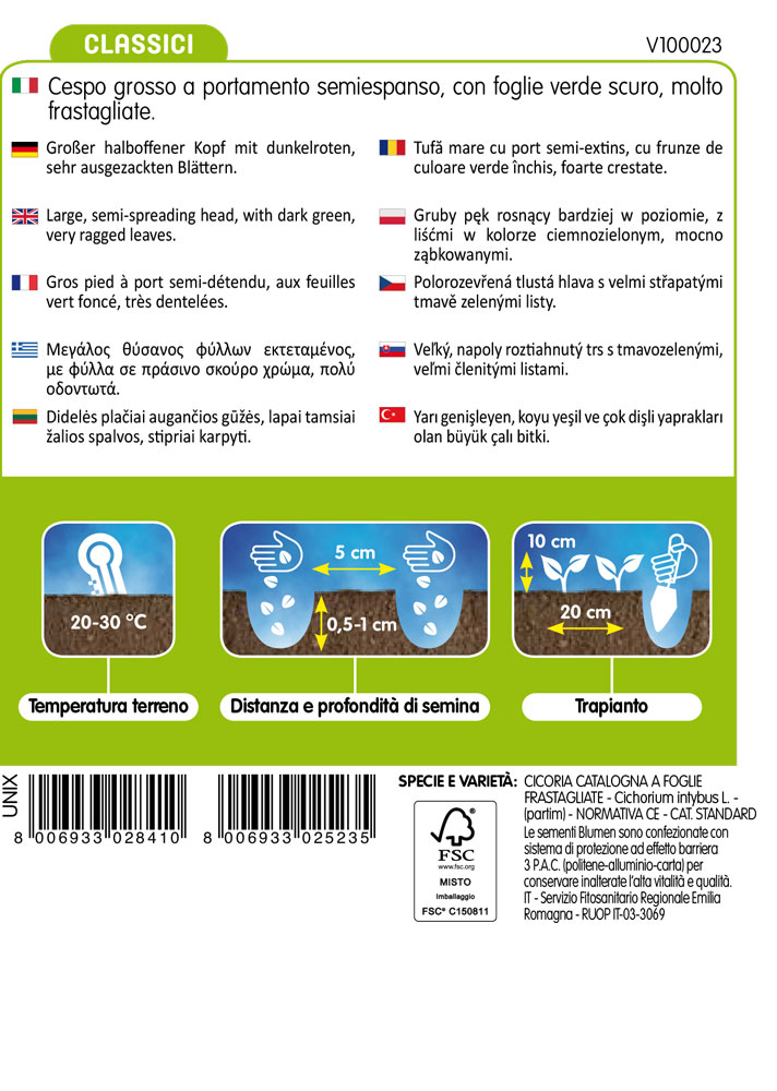 Cicoria Catalogna Frastagliata - immagine 2