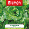 Cicoria Grumolo Verde