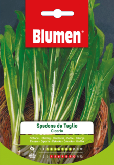 Cicoria Spadona Da Taglio