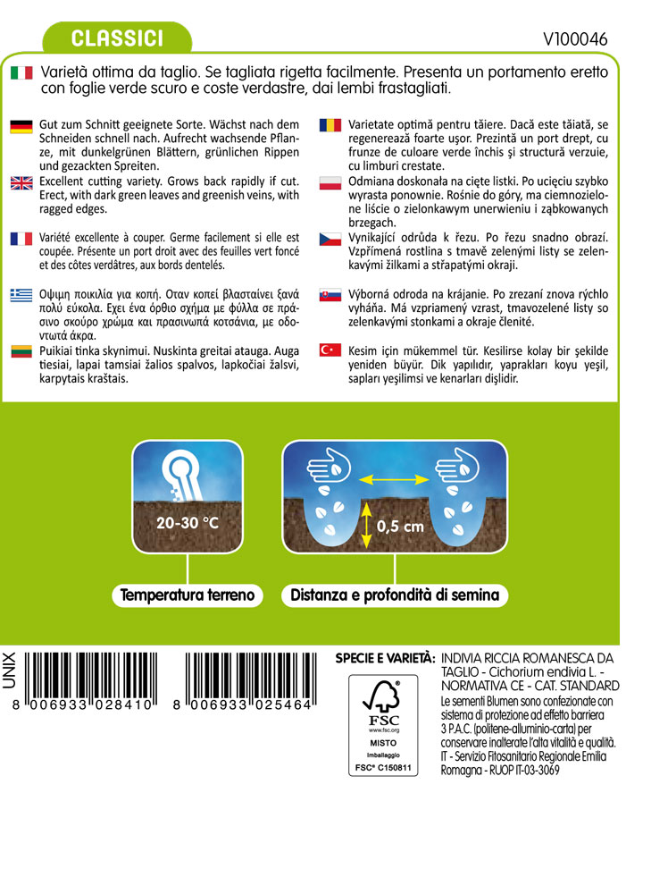 Indivia Riccia Da Taglio - immagine 2