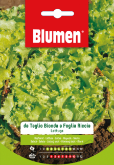 Lattuga Da Taglio Bionda A Foglia Riccia