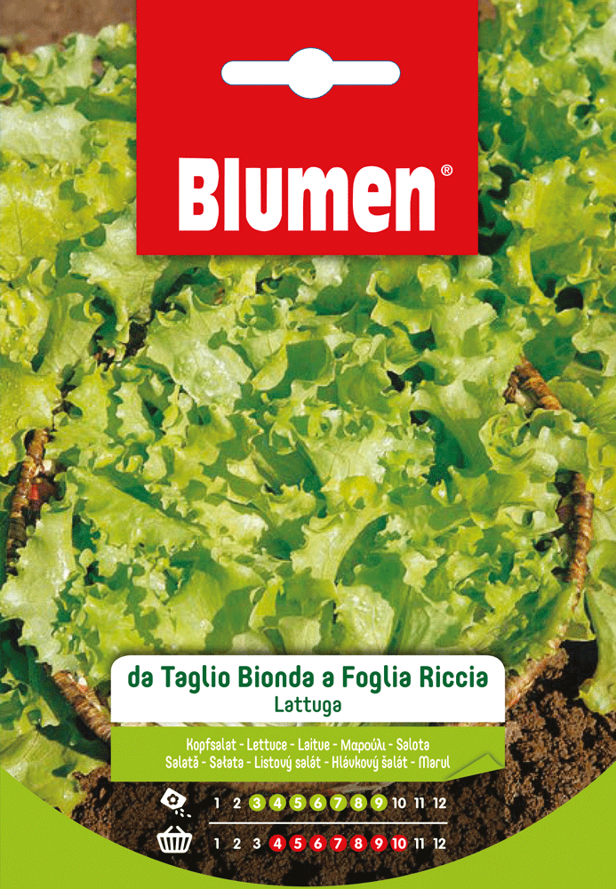 Lattuga Da Taglio Bionda A Foglia Riccia