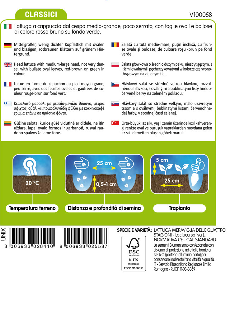 Lattuga Meraviglia Quattro Stagioni - immagine 2