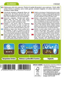 Melanzana Violetta Di Toscana - immagine 2