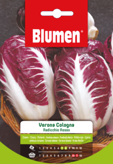 Radicchio Rosso Di Verona Cologna