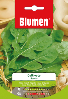 Rucola Coltivata