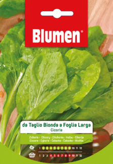 Cicoria Da Taglio