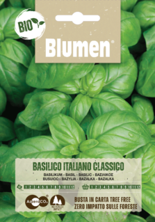 Basilico Italiano Classico