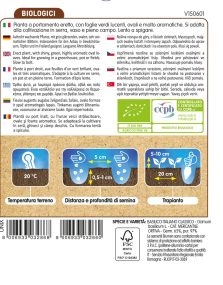 Basilico Italiano Classico - immagine 2
