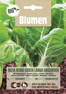 Bieta Verde A Costa Larga Argentata